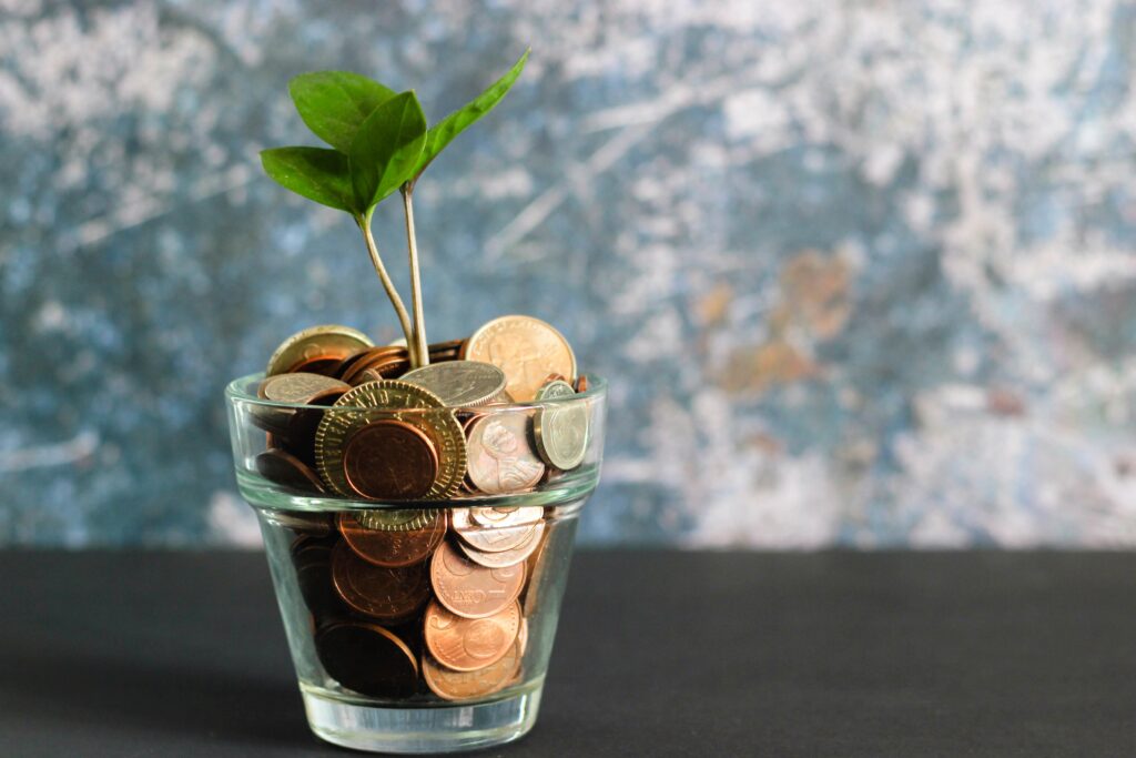 Flower growing from cup of coins